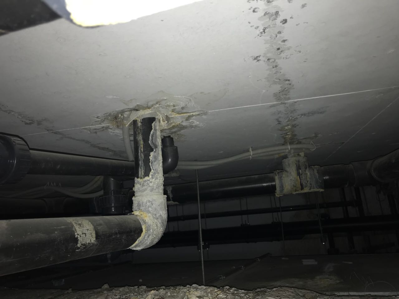 IMG-20180425-WA0011 (1).jpg